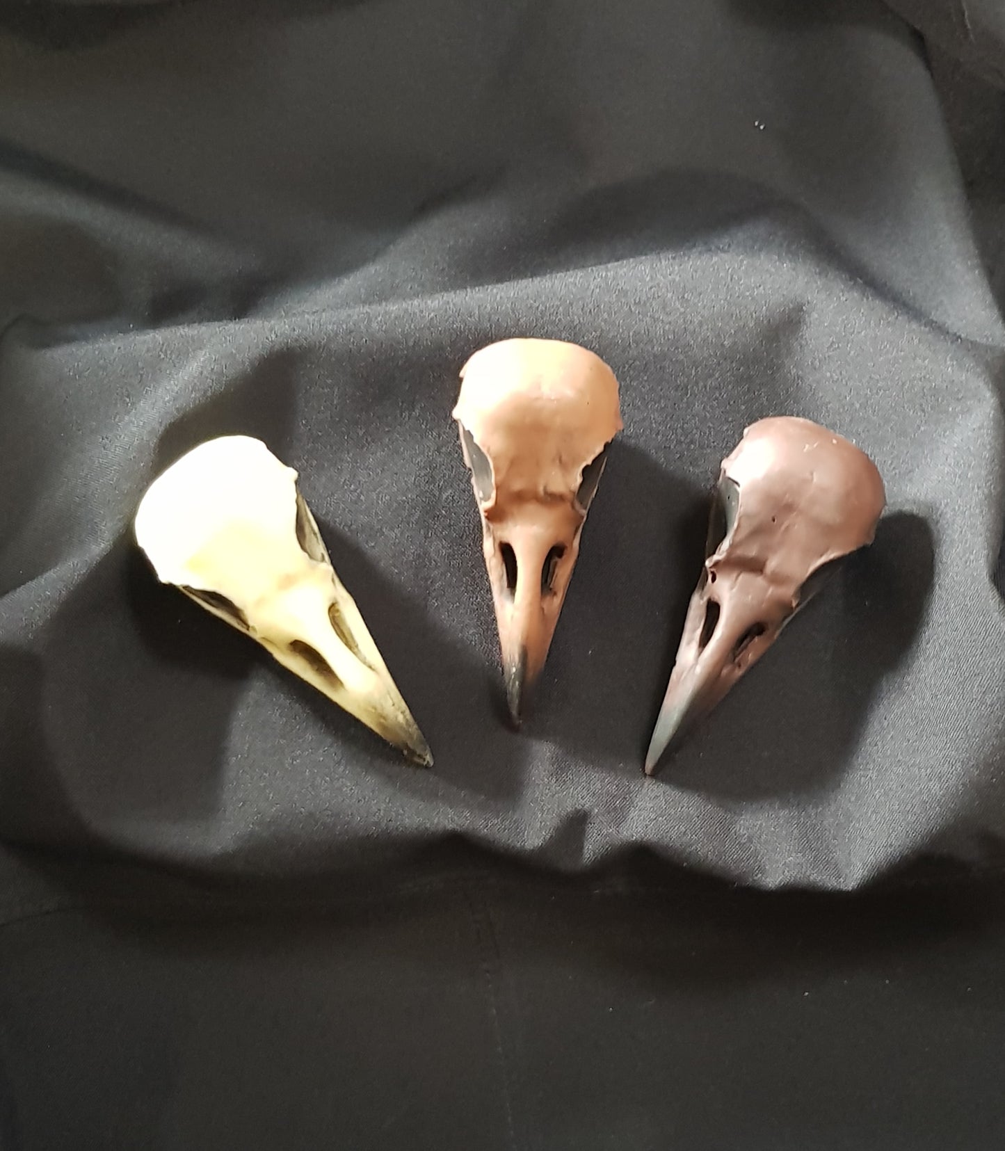 The Omen - A trio of chocolate crow skulls